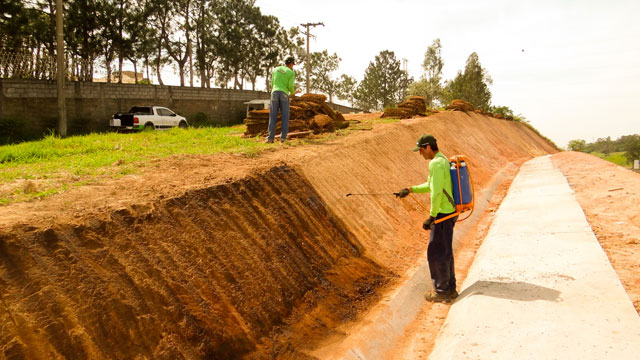 Gramas em Santos