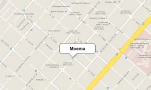 Dedetização para baratas em Moema