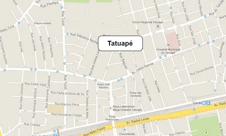 Dedetização de Ratos