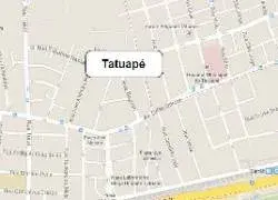 Dedetização de Ratos