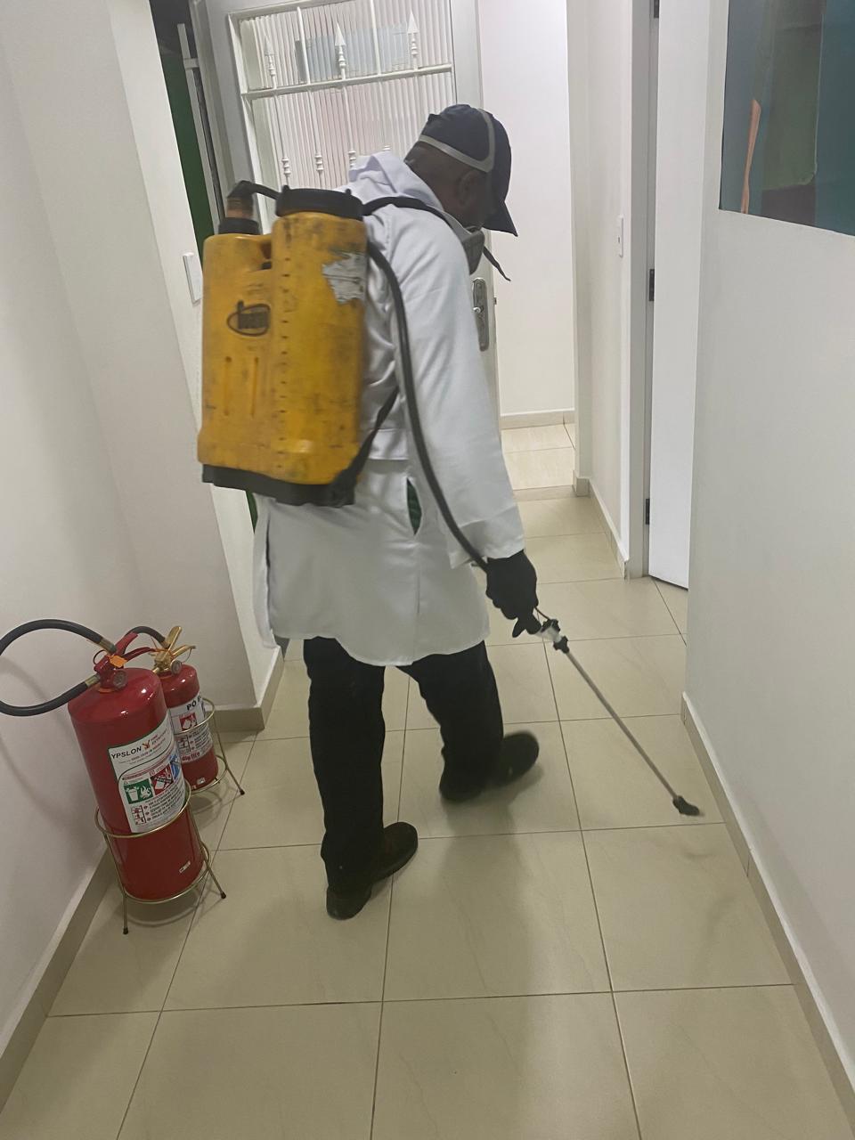 Dedetização de Ratos