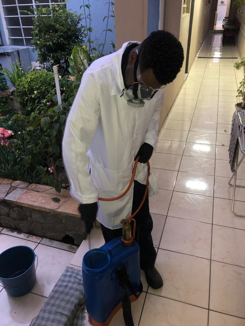 Dedetização de Ratos