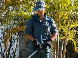 Terceirização de Jardinagem