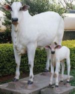 Escultura de Metal: A Arte que Transforma Espaços